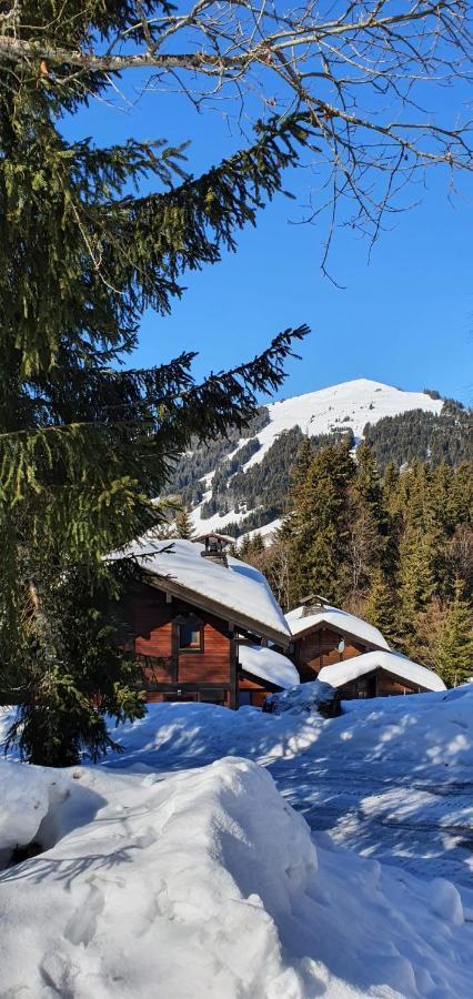 Le Chalet de Nabor Les Gets Extérieur photo