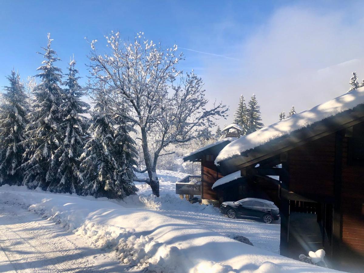 Le Chalet de Nabor Les Gets Extérieur photo